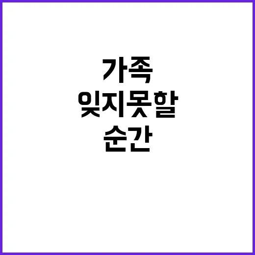 소나무캠핑