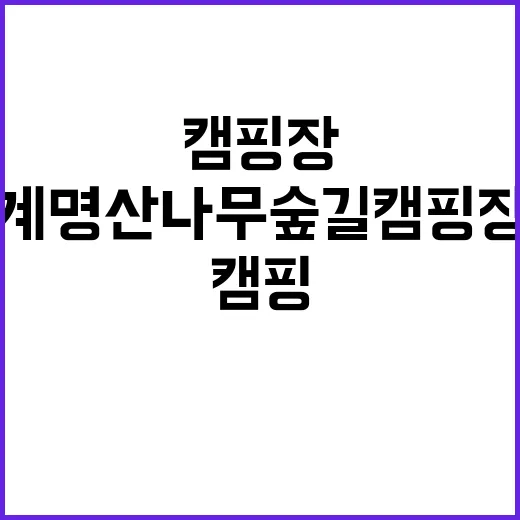 계명산 나무숲길 캠…