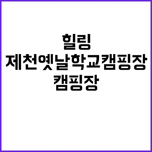 제천옛날학교캠핑장