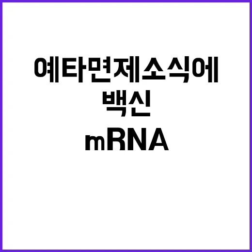 mRNA 백신 예타…