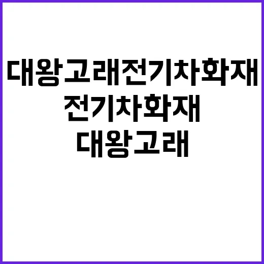 대왕고래 전기차 화…