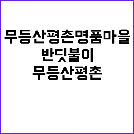 반딧불이 무등산 평…