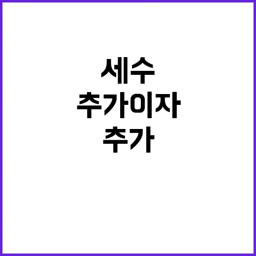 세수 부족 추가 이…