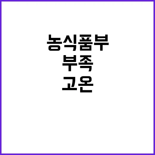 벌집꿀 부족 고온의 일시적 현상이라고 농식품부 발표!