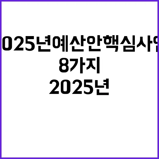 2025년 예산안 …