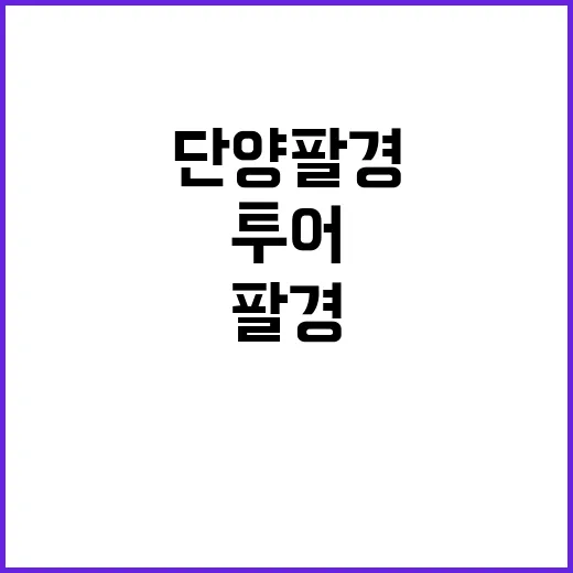 단양팔경투어