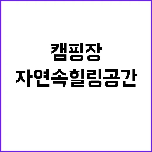 제천공전자연 캠핑장…