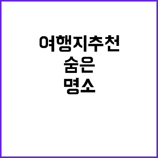 생각하는 섬