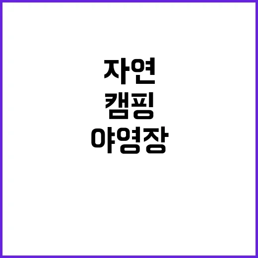 임해야영장