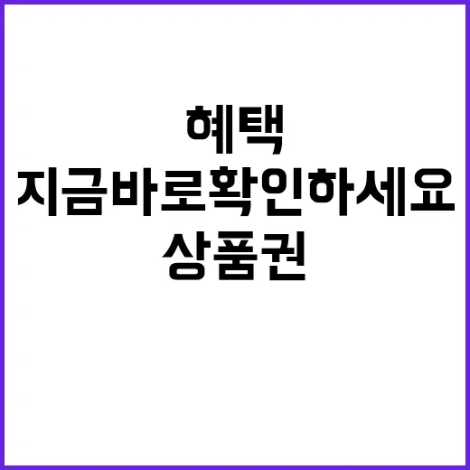 상품권 혜택 몸소 …