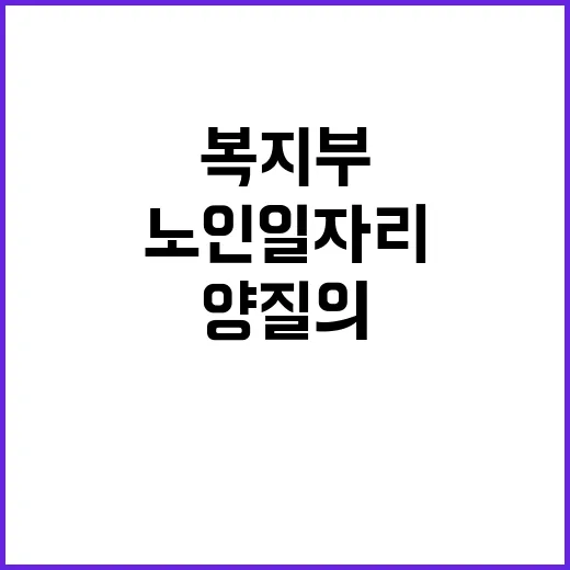 “양질의 노인일자리…