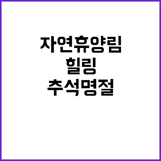 자연휴양림 추석 명절 힐링의 새로운 장소!