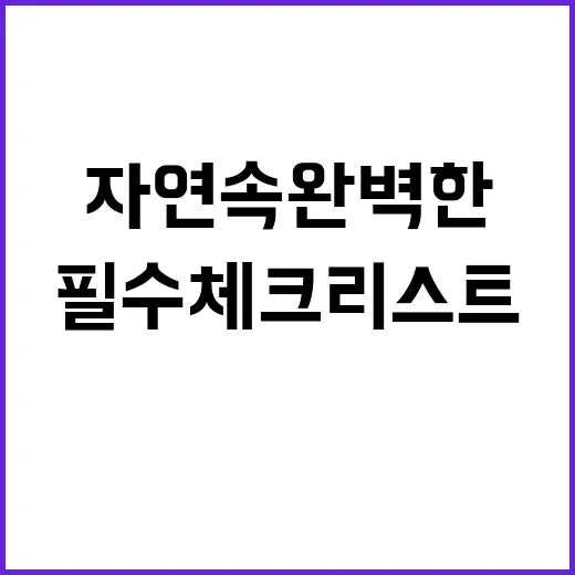 대현캠핑장 자연 속…