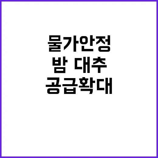 “물가 안정” 밤·…