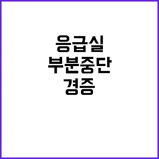 응급실 안정적 경증…