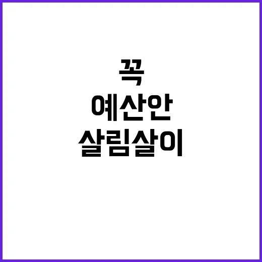 2025 예산안 살…