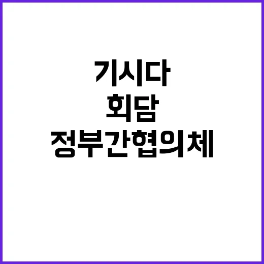 정부 간 협의체 복…