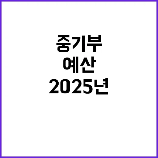 “예산 증액 중기부의 2025년 R&D 새로운 기회!”