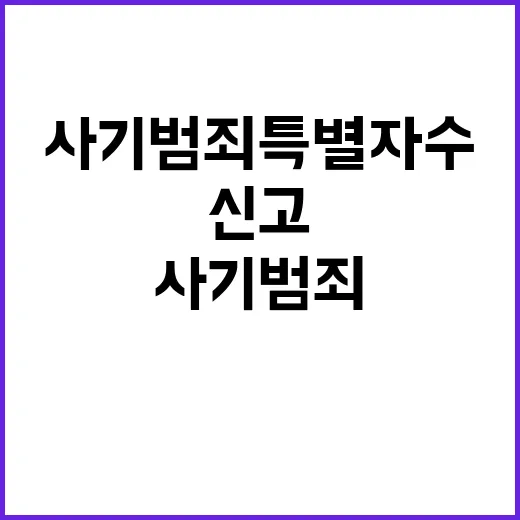 사기범죄 특별자수 …