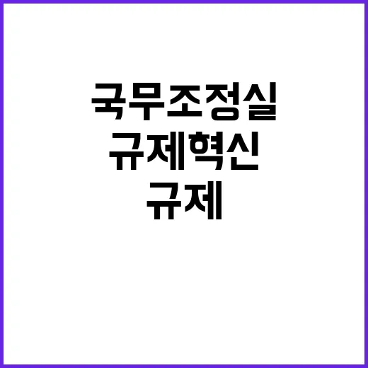 규제혁신 국무조정실의 모든 수단 활용해 도전!