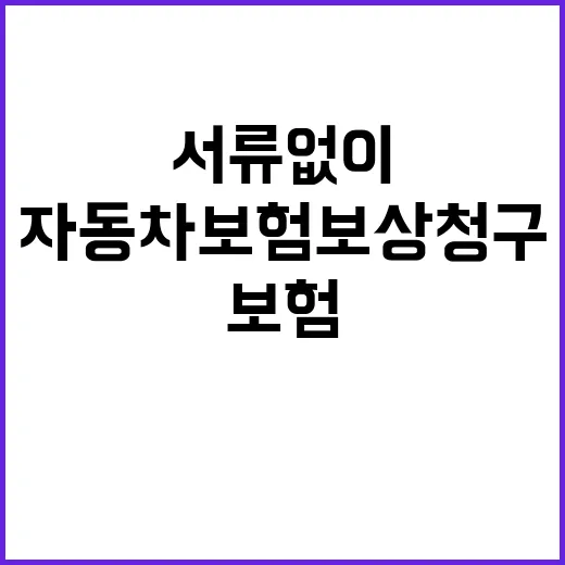 자동차보험 보상 청구 이제 서류 없이 가능!