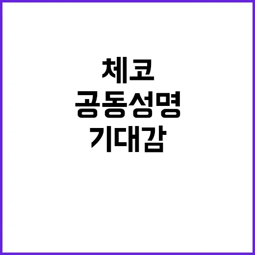 체코 방문 새로운 공동성명 발표 기대감 상승!