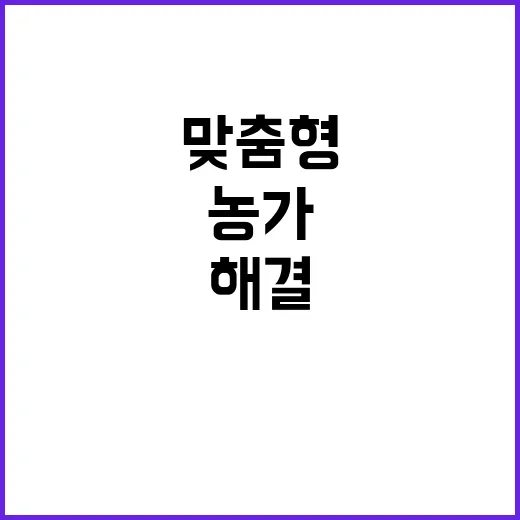 농가 소득격차 맞춤…