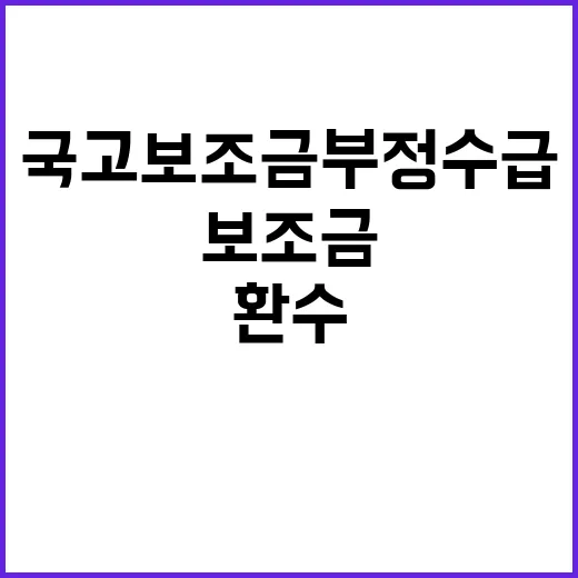 국고보조금 부정수급 단속 불법 환수 강화!