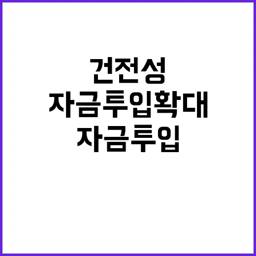 거시건전성 자금투입 확대의 새로운 길이 열렸다!