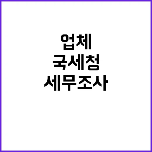 국세청 47개 업체 세무조사 결과 공개 예정!