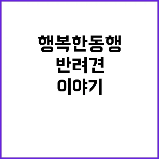 행복한 동행 사람과 반려견의 놀라운 이야기!