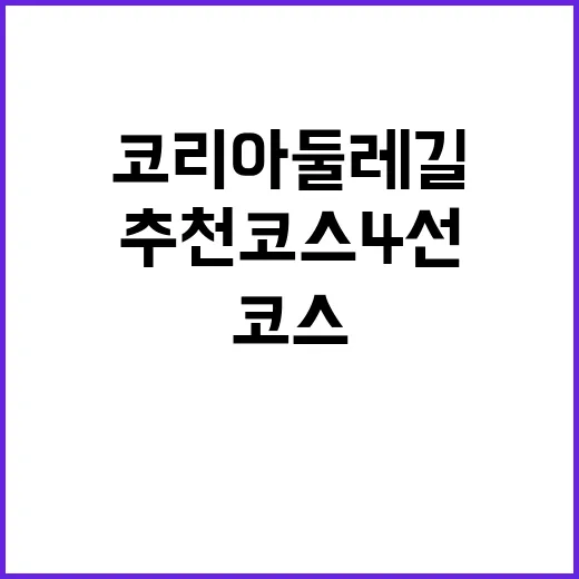 코리아둘레길 최고의 추천 코스 4선 공개!