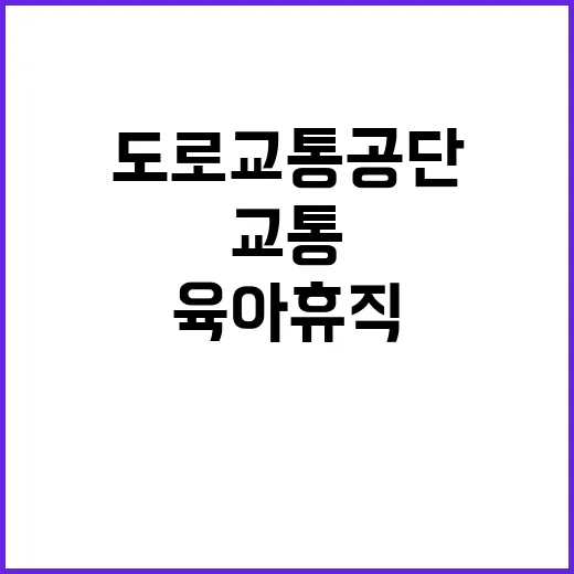 한국도로교통공단 비…