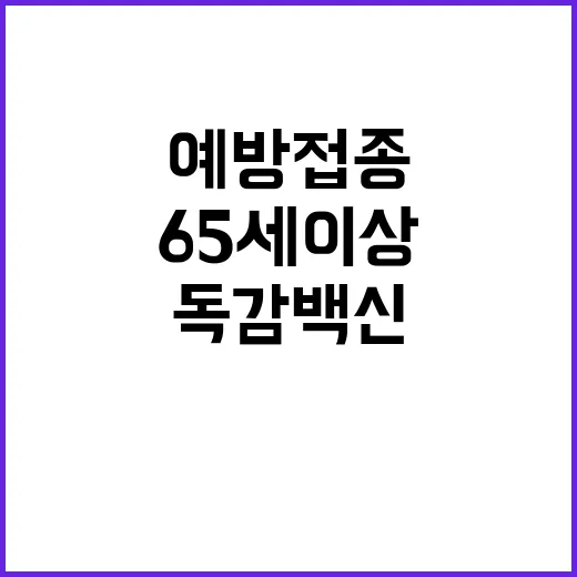 예방접종 독감 백신 65세 이상 대상 동시 접종!