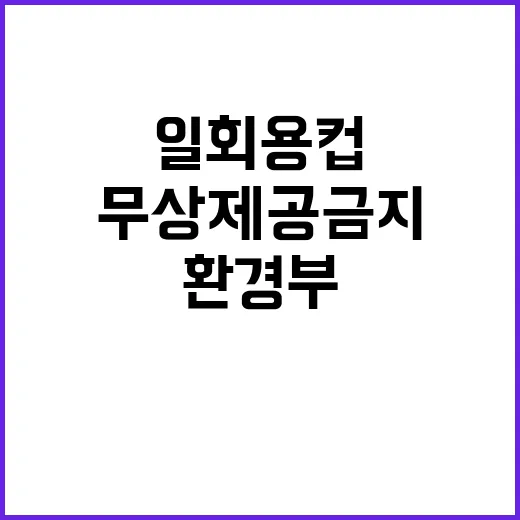 환경부 “일회용컵 무상제공 금지 아직 미시행”