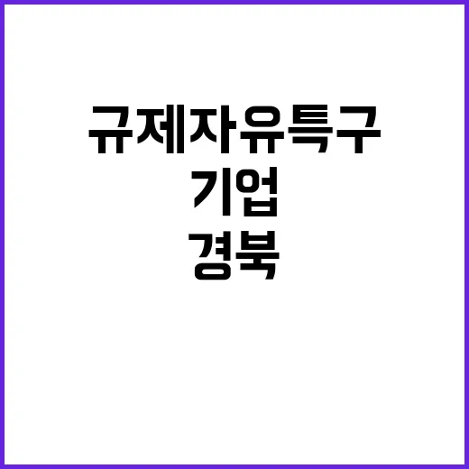 규제자유특구 경북·…