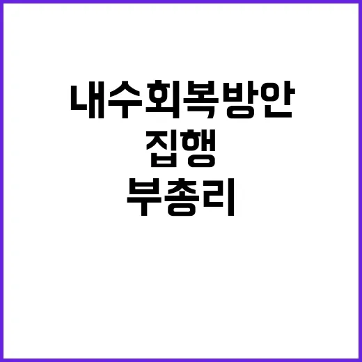 경제부총리 내수회복 방안 즉각 집행 필요성 강조!