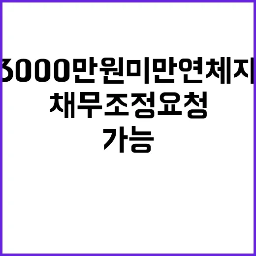 채무조정 요청 내일부터 3000만 원 미만 연체자 가능!