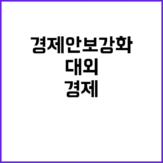 경제안보 강화 대외…