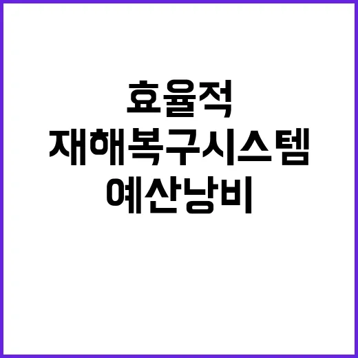 효율적 재해복구시스템 예산 낭비 막는 비밀!