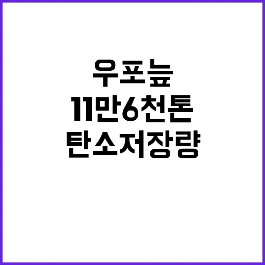 우포늪 탄소 저장량 11만 6천톤 확인 결과!