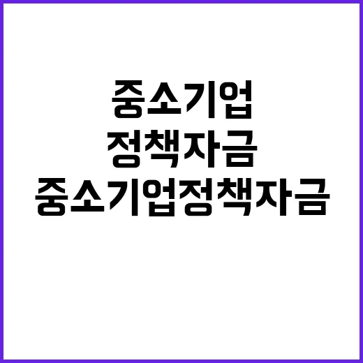 중소기업 정책자금 …