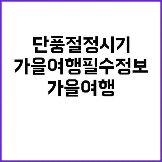 단풍 절정 시기! 당신의 가을 여행 필수 정보