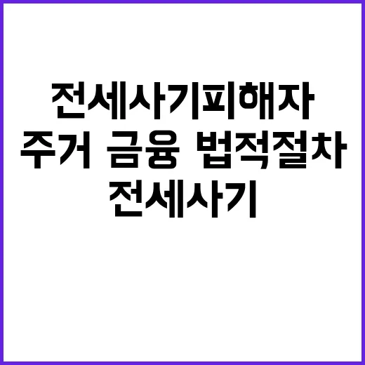 전세사기피해자 지원 주거·금융·법적 절차 확대!