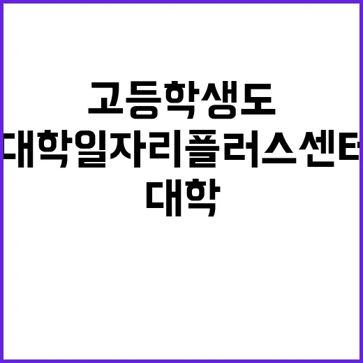 ‘대학일자리플러스센…