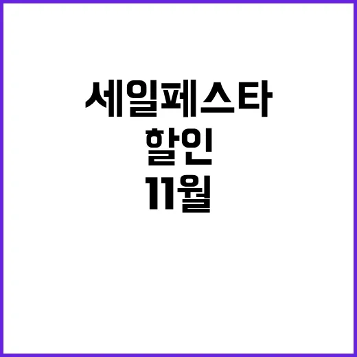 세일페스타 11월 최고의 할인 행사 시작된다!