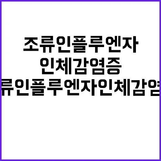 조류인플루엔자 인체…