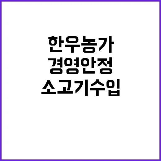 소고기 수입 한우농가 지원으로 경영안정 직면하다!