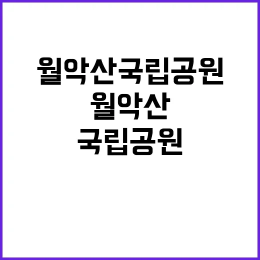 국립공원공단 비정규…