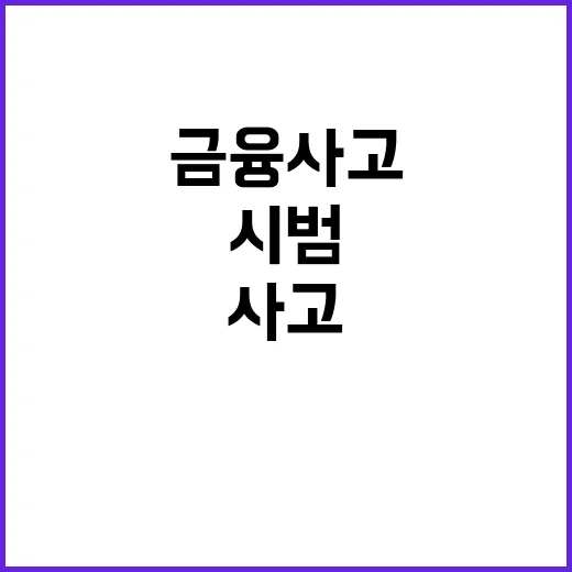 금융사고 방지 18…